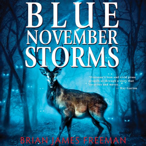 Cover of Blue November Storms (Novella)