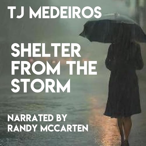 Cover of Shelter from the Storm