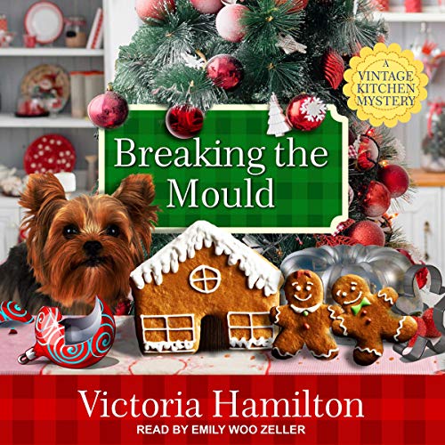 Cover of Breaking the Mould