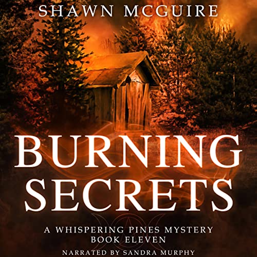 Cover of Burning Secrets