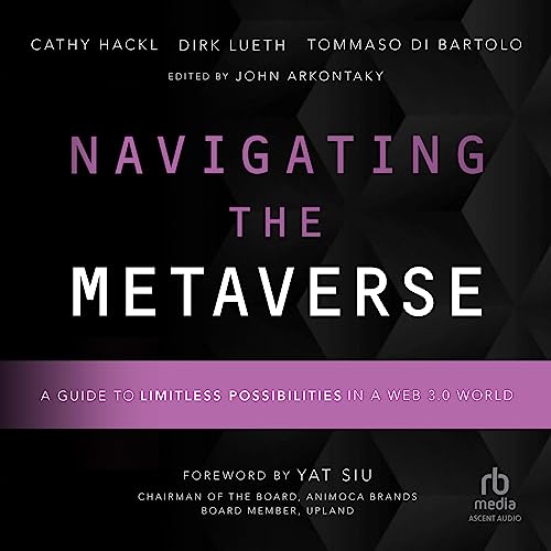 Cover of Navigating the Metaverse
