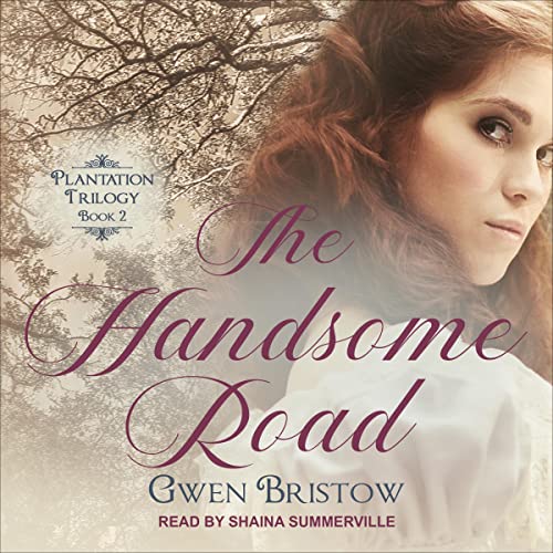 Cover of The Handsome Road