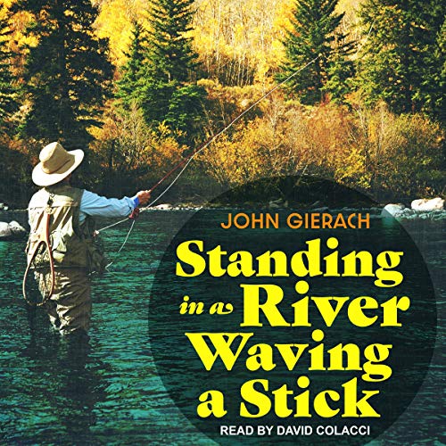 Cover of Standing in a River Waving a Stick