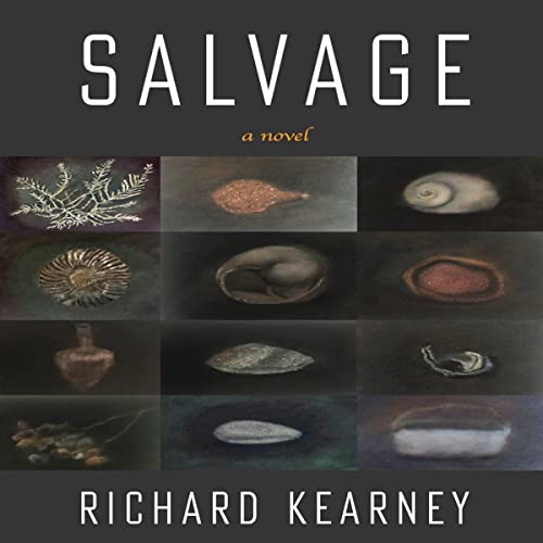 Cover of Salvage