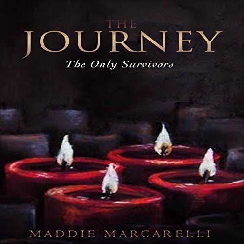 Cover of The Journey: The Only Survivors