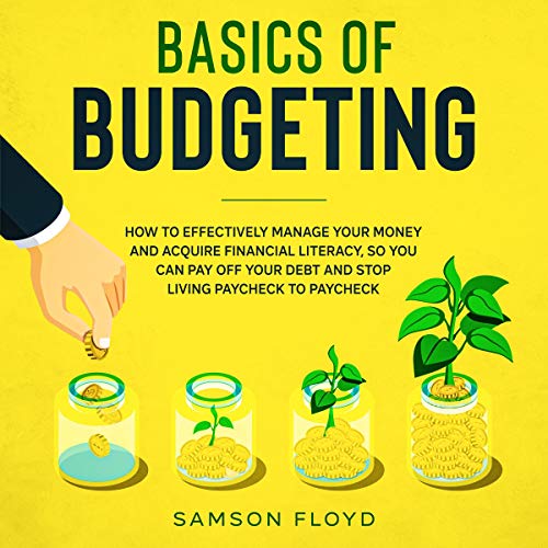 Cover of Basics of Budgeting