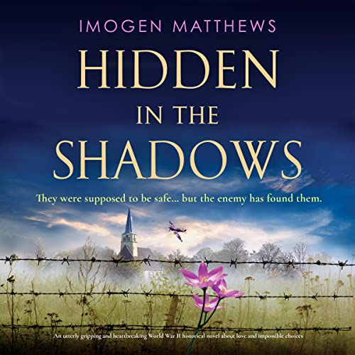 Cover of Hidden in the Shadows