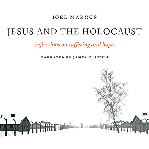 Cover of Jesus and the Holocaust