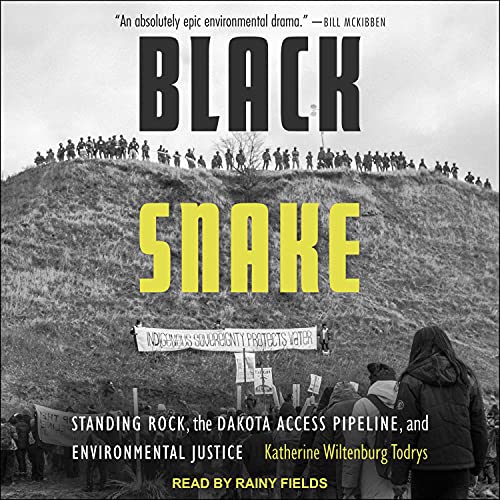 Cover of Black Snake