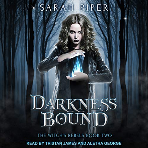 Cover of Darkness Bound