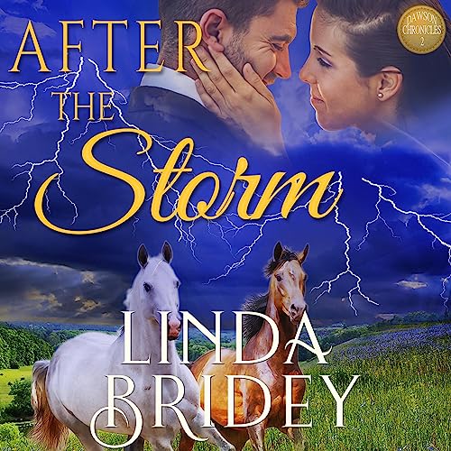 Cover of After the Storm