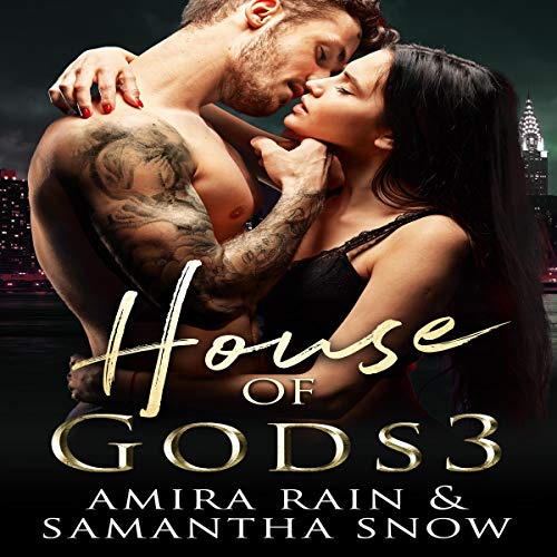 Cover of House of Gods 3: The Vision (The Gods of New York Series)