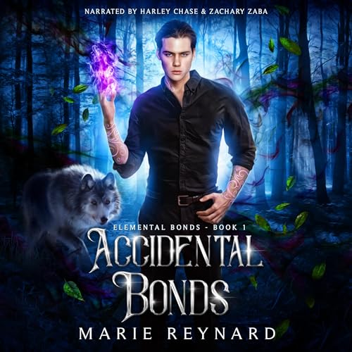 Cover of Accidental Bonds