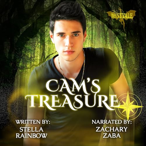 Cover of Cam's Treasure