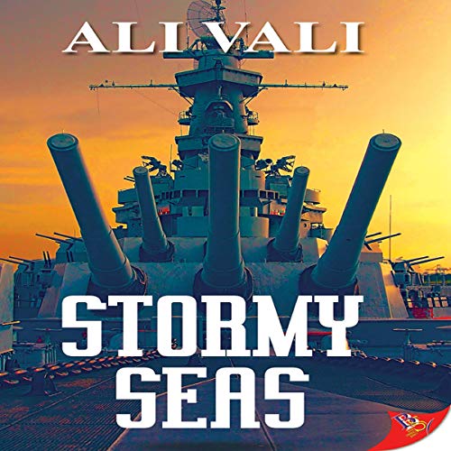 Cover of Stormy Seas