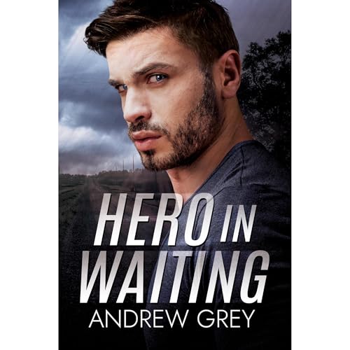 Cover of Hero in Waiting