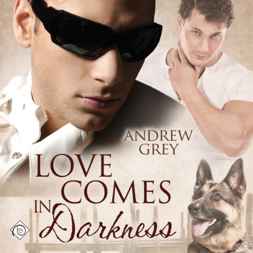 Cover of Love Comes in Darkness