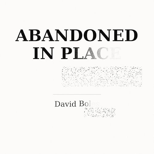 Cover of Abandoned in Place