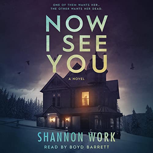 Cover of Now I See You