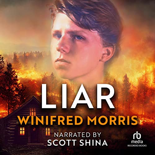 Cover of Liar