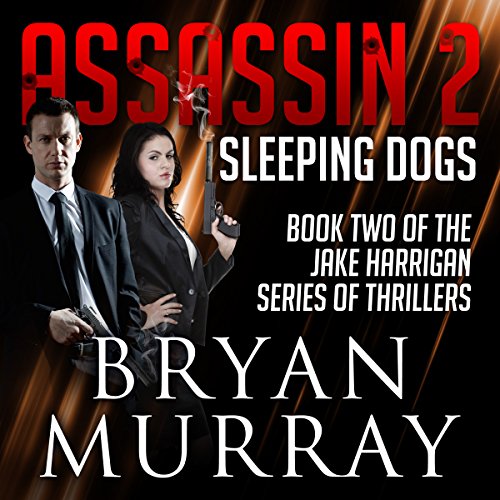 Cover of Assassin 2