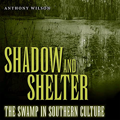 Cover of Shadow and Shelter