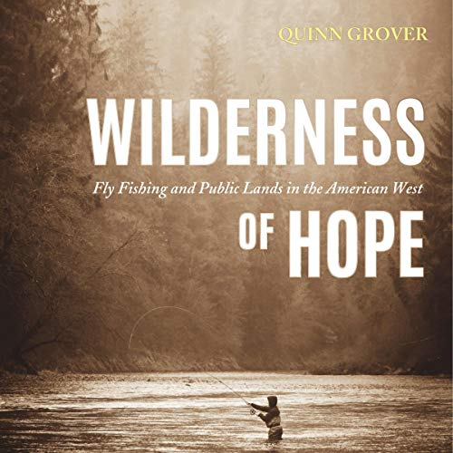 Cover of Wilderness of Hope
