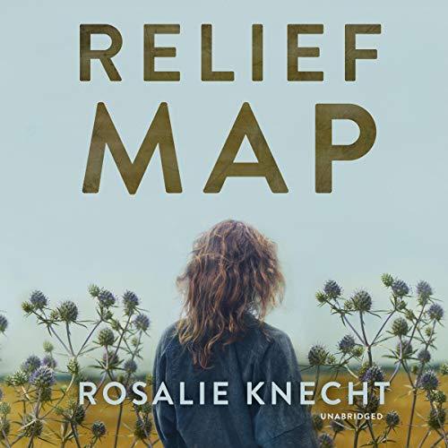 Cover of Relief Map