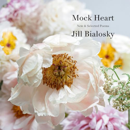 Cover of Mock Heart