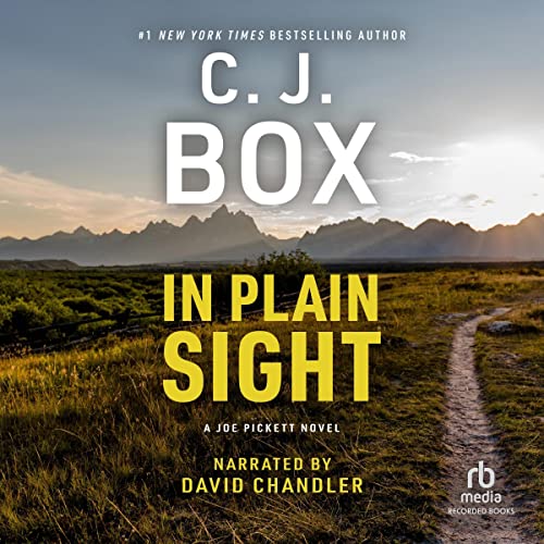 Cover of In Plain Sight