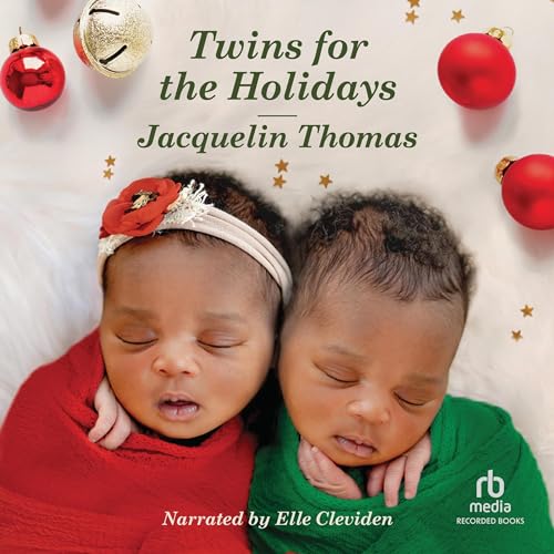 Cover of Twins for the Holidays