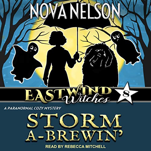 Cover of Storm a-Brewin’