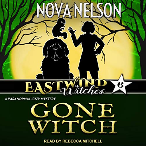 Cover of Gone Witch