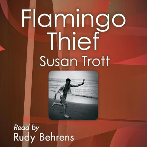 Cover of Flamingo Thief