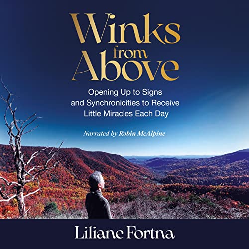 Cover of Winks from Above