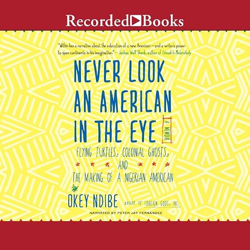 Cover of Never Look an American in the Eye
