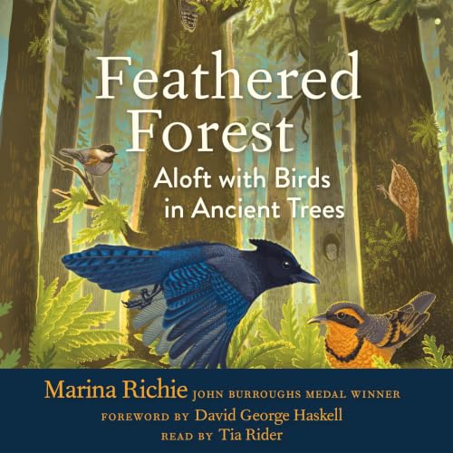 Cover of Feathered Forest