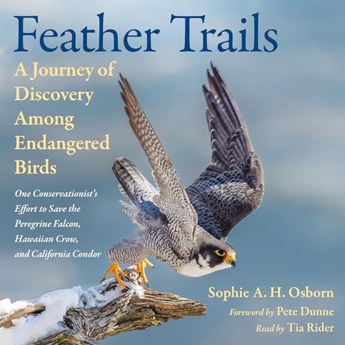 Cover of Feather Trails