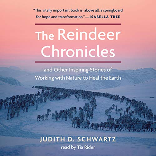 Cover of The Reindeer Chronicles