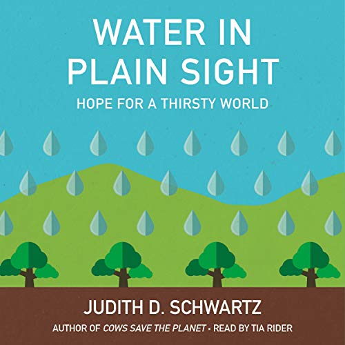 Cover of Water in Plain Sight
