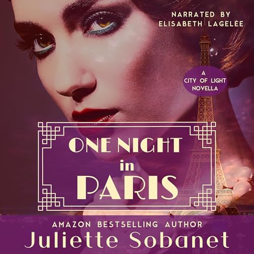 Cover of One Night in Paris