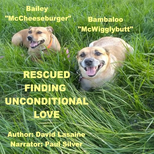 Cover of Rescued Finding Unconditional Love