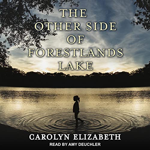 Cover of The Other Side of Forestlands Lake