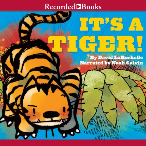 Cover of It's a Tiger!