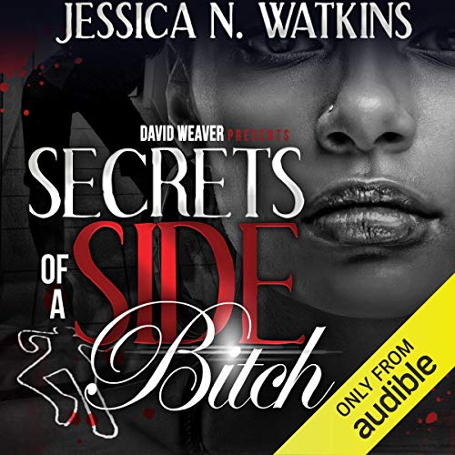 Cover of Secrets of a Side Bitch