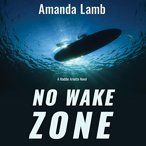 Cover of No Wake Zone