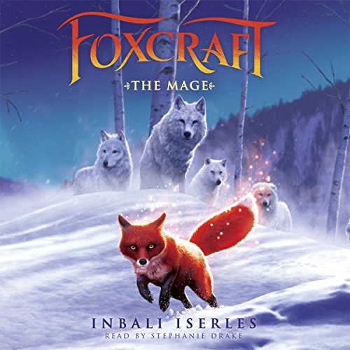 Cover of The Mage