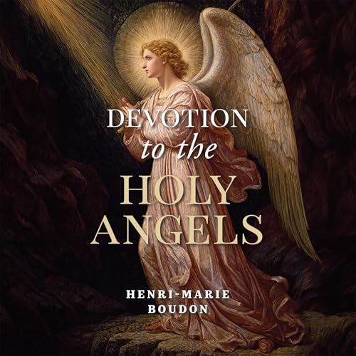 Cover of Devotion to the Holy Angels