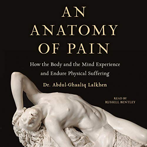 Cover of An Anatomy of Pain