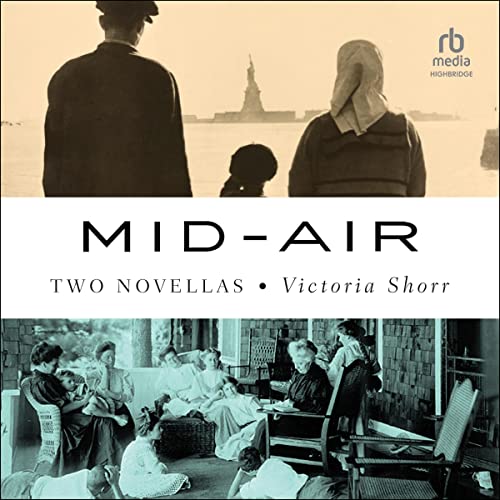 Cover of Mid-Air